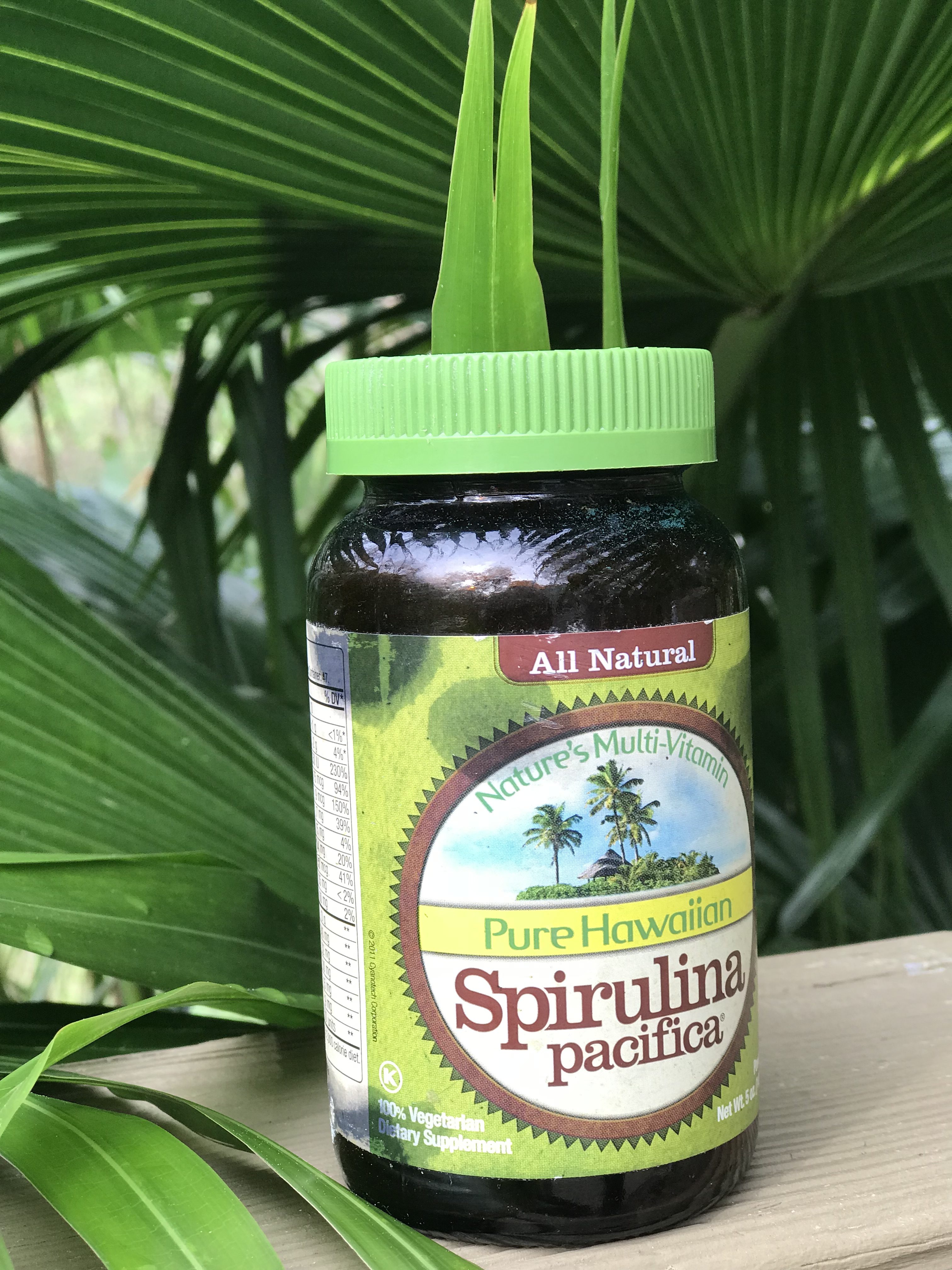 Spirulina For Protein Spirulina For Protein
