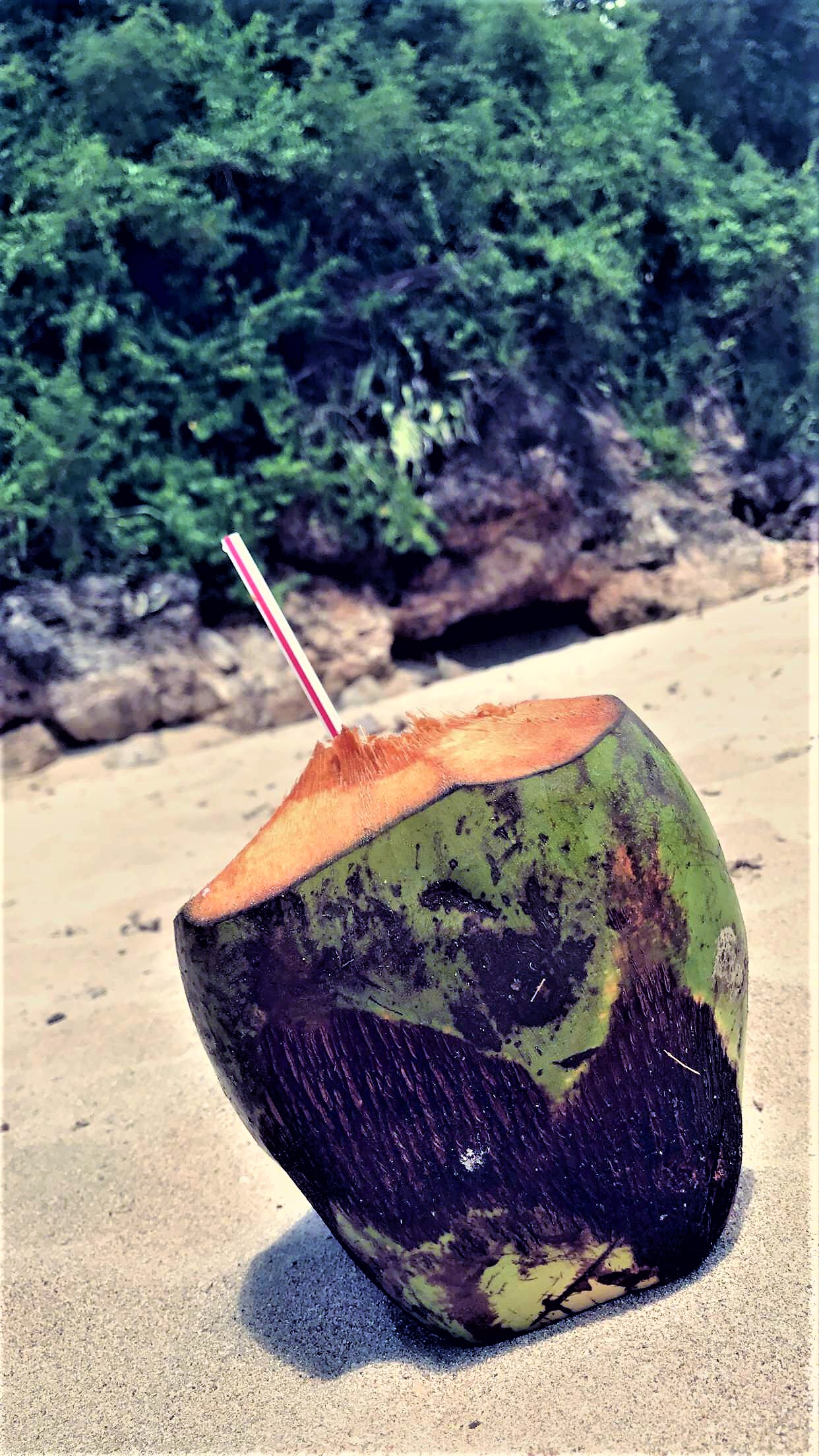 7 Benefits Of Drinking Coconut Water Daily 7 Benefits Of Drinking Coconut Water Daily
