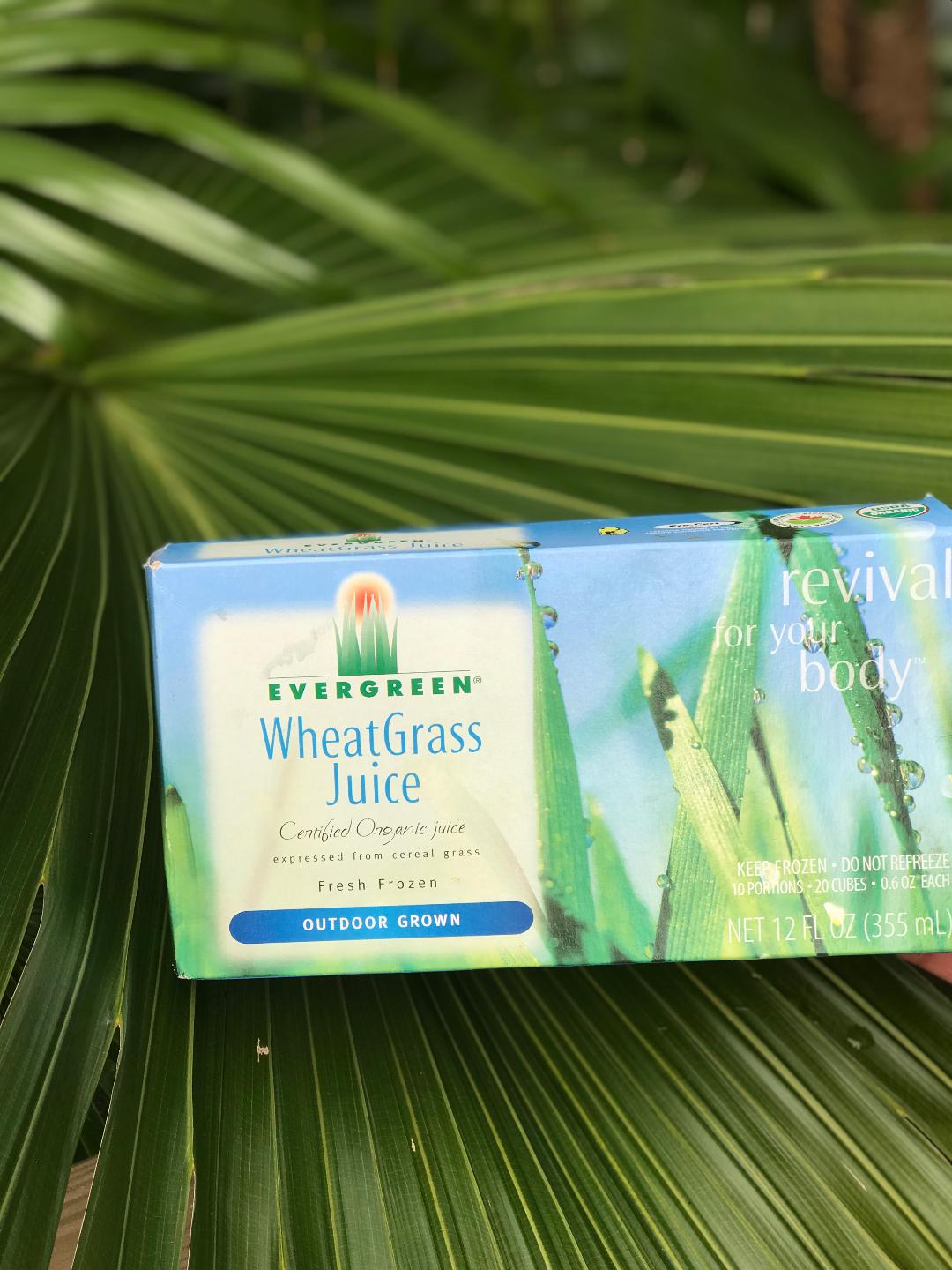 Wheatgrass For Energy Wheatgrass For Energy