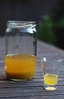 The Master Tonic The Master Tonic